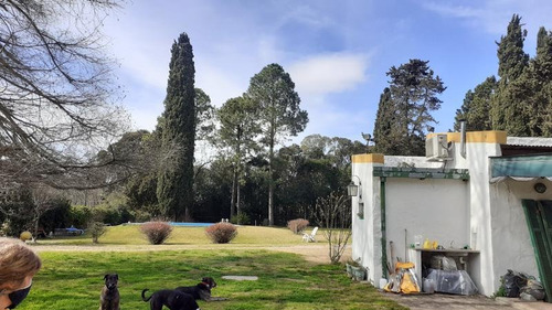 Campo C/ Caballerizas Y Casa Colonial - Villa Elisa