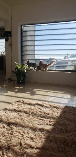 Imagen 4 de 5 de Quinta En Venta En Zona De Chacras