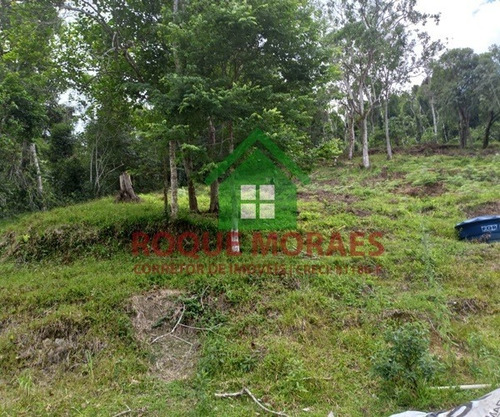 Imagem 18 de 18 de Sítio Medindo 8 Alqueires Paulista No Vale Do Ribeira Sp Ref.: 0885