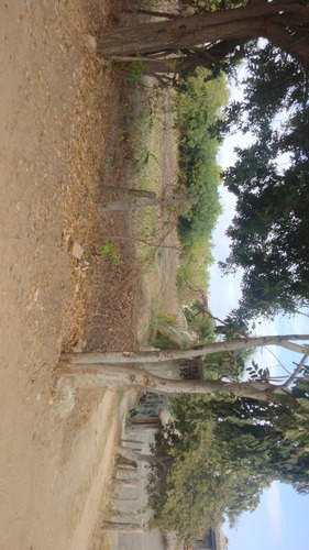 Terreno En Punta Zicatela 3000 M2