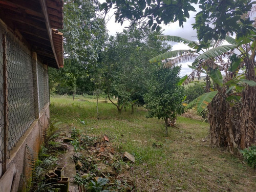 Imagem 24 de 30 de Chácara 4,5 Alqueires Casa Simples E Boa,poço Caipira Agua Cristalina,corrego No Fundo,fácil Acesso 800mts Do Asfalto,ótimo Pasto,27 Kms Itapetininga - Ch00081 - 69505662