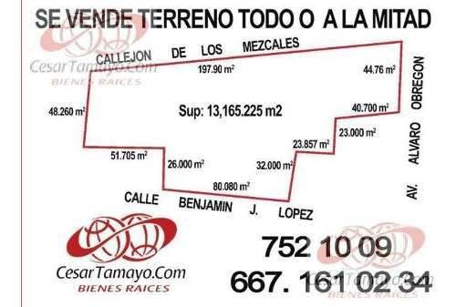 Imagen 1 de 2 de Terreno - Los Mezcales