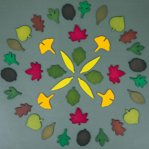 Rompecabezas De Madera Leaf Geografía Educativa Para Niños