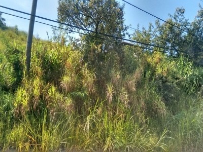 Imagem 4 de 4 de Ref.: 15060 - Terreno Em Santana De Parnaíba Para Venda - 15060