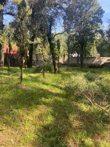 Imagen 2 de 15 de Terreno Bardado A Orilla De Carretera En Huitzilac, Morelos.
