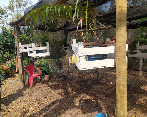 Imagem 30 de 30 de Sitio Em Esmeraldas - St00158 - 70088145