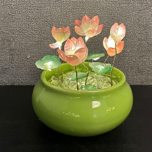 Diy Lotus Luz Nocturna Material Paquete Decoración Mini