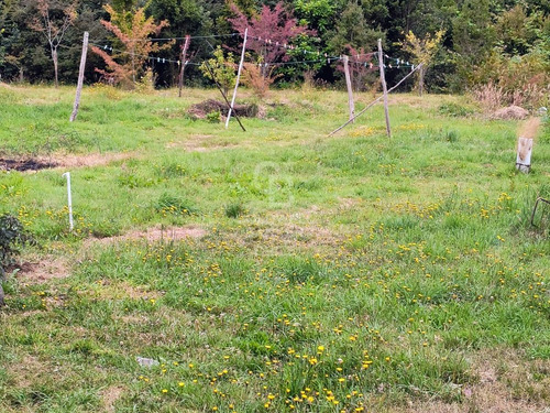 Parcela De 6000 Metros Con Casa Sector Chayahue