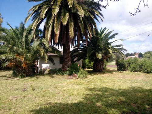 Casa (reciclar Dem ) Miramar 50.000 U$s Centrica Permutaria