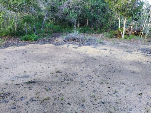 Imagem 6 de 23 de Terreno À Venda Em Arraial D'ajuda - Porto Seguro, Terreno Plano Com Área Limpa Pronta Para Construção, Ponto De Água, Energia, Área De Lazer E Playground