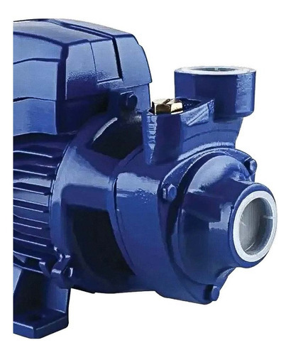 Bomba De Água Periférica Mono 1/2 Hp Ch05 Bp1 Chiaperini Cor Azul Fase Elétrica Monofásica Frequência 60hz 110v