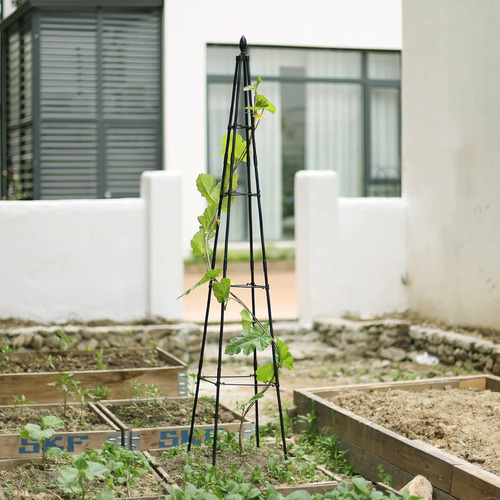 Celosía De Jardín Plantas Trepadoras Al Aire Libre, C...