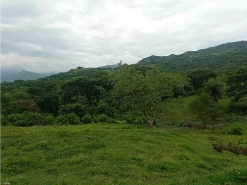 Vendo Lotes En La Pintada Con Vista A Farallones Desde 2.703 M²