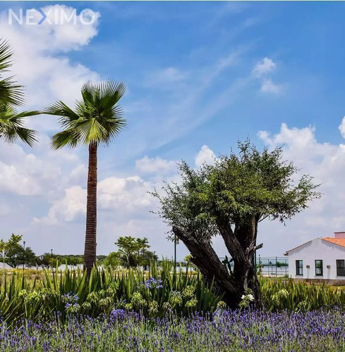 Imagen 3 de 5 de Terreno Residencial En Venta En Desarrollo Ciudad Maderas, Ubicado En El Marques Querétaro.
