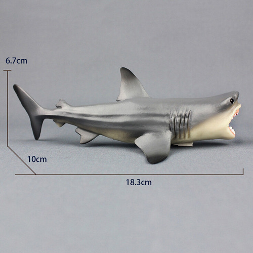 / Q Megalodon, Tiburón Prehistórico, Animal Educativo Sobre