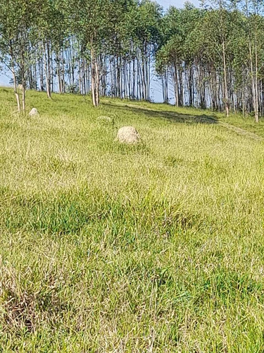 Imagem 13 de 14 de A26- Não Deixe Pra Amanhã Pra Realizar Seu Sonho.