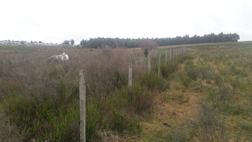 7 Hectáreas Y Media,chacra A La Venta En Canelones