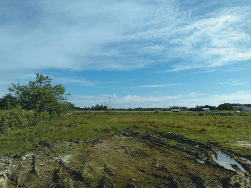 Solar En Alquiler Y Venta De Hato Nuevo Cerca De La Av. Circunvalacion De 19mil Metros