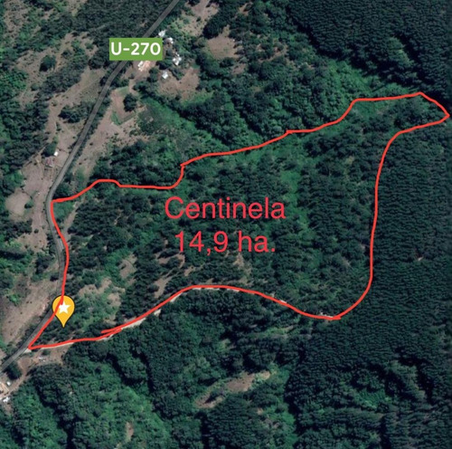 Campo Forestal Sector Centinela