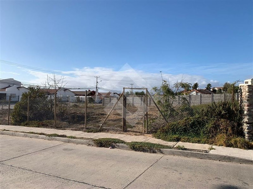 Imagen 8 de 9 de Sitio En Venta En Coquimbo