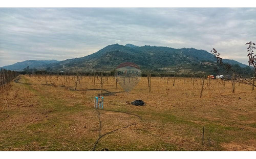 Terreno En Colchagua