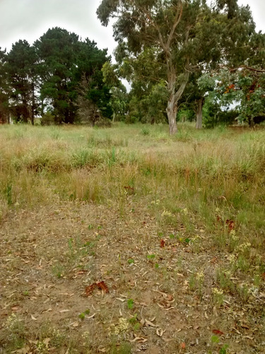 Vendo Lote De Terreno En Nueva Atlantis, Con Escritura.