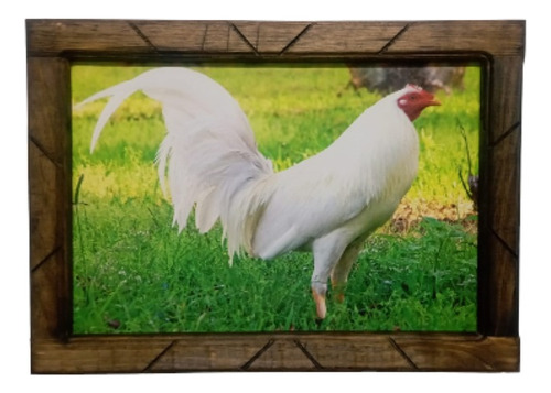 Cuadro De Gallo Blanco En El Pasto Marco De Madera 33x45cm