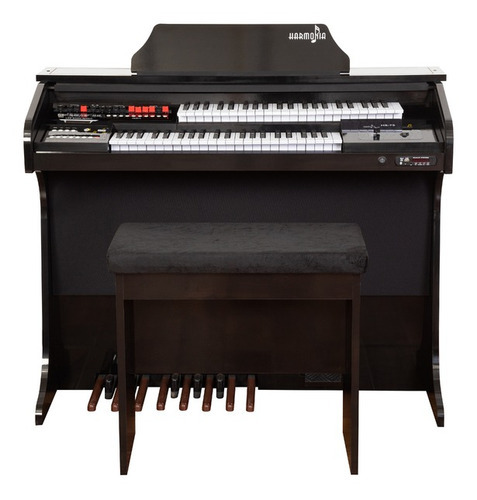 Orgao Eletronico Harmonia Hs75 Preto Brilho