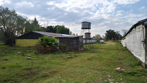 Imagen 5 de 14 de Granja De Pollos En Venta - Villa Mantero