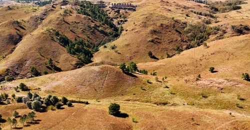 Magnificas Fracciones De Campo De 3 Ha. Con Costa De Arroyo Y Bajada Al Río. San Miguel De Los Rios. Yacanto De Calamuchita