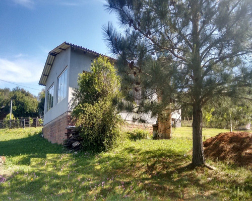 Chácara 1.000 M² - Condado Del Rey - Gravataí - Rs - 1224 - 32419745