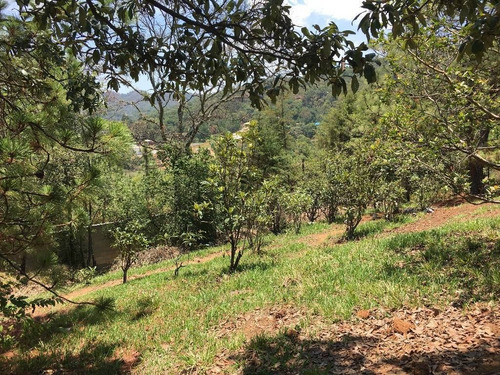 Imagen 3 de 5 de Terreno En Venta Con Vista Al Lago Valle De Bravo