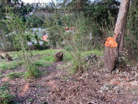 Imagem 6 de 6 de Terreno - Te00119 - 34265917
