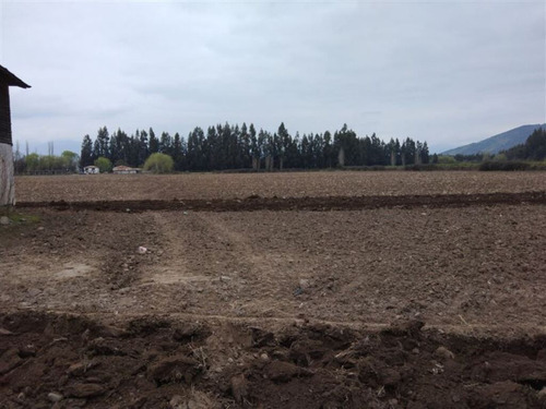 Sector Pencahue| (74921)