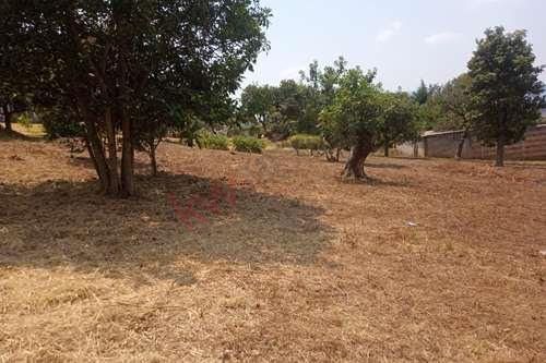 Venta De Terreno 240 M2 Con Clima Calido Tenancingo