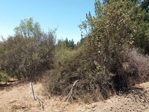 Parcela 1 Hectárea Para Proyecto Sustentable | Navidad