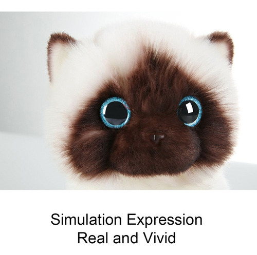 Ragdoll Kitty Toy, Gato Siamês, Boneca De Pelúcia, Bichos De