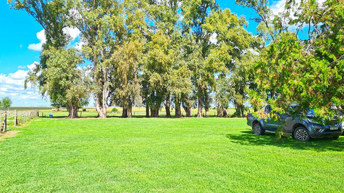 Campo En General Alvear