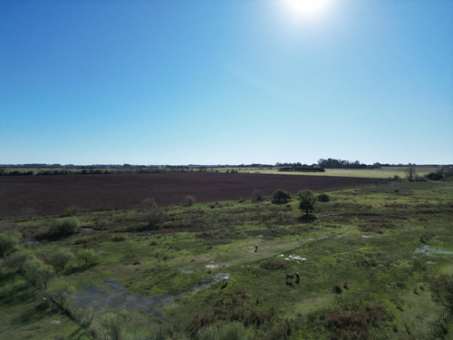 Campo De 37 Ha A Pocas Cuadras Del Cruce De R8 Y R51