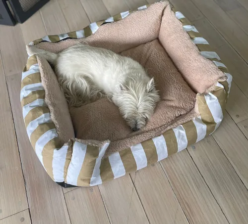 Cama Moises Para Perros C moda Mullida Desmontable 80x70
