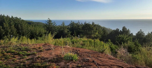 Parcela 3000 M2 En Venta Cobquecura