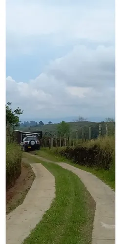 Venta Finca - Lote En Circasia - 6.2 Cuadras