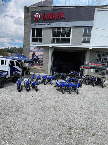 Imagen 7 de 9 de Yamaha Pw50