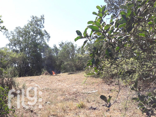 Oportunidad Vendo Gran Terreno En Culipran Melipilla