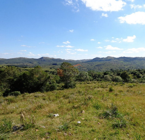 17 Has, Vistas Serranas, Monte Nativo, Arroyo Y A 1 Hora De Mdeo...- Ref: 26461