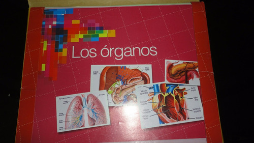 Laminas Escolares De Colección..!!!
