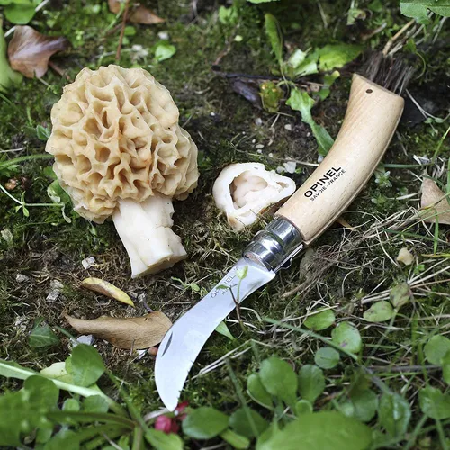 Opinel No.8 - Cuchillo Plegable De Hongos - Cuchillo De Forr