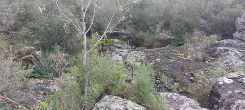 Campo En Carape Son 42 Hs 2293 M2