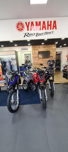Imagem 4 de 9 de Crosser S 150cc 2022/23 Abs