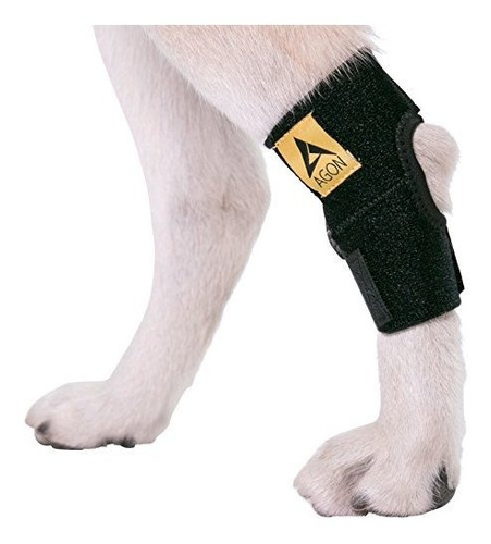 Agon Agon Dog Canine Rear Hock Joint Brace